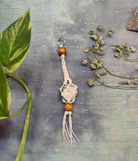 Sammalakaatti ~laukkukoru